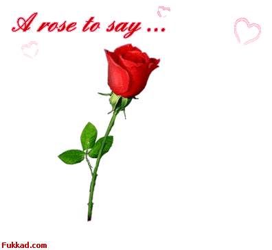 rose!