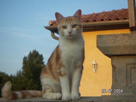 Tazy ma tite cherie tu me manke!