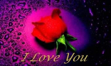 LOVE YOU!