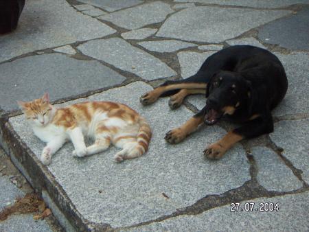 Mes 2tites cheries jvs aimes...!