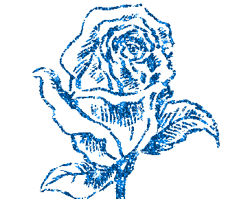 Rose bleue...!!