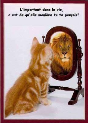 percevoir...!!
