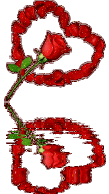 rose flyt...!!