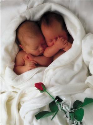 B&eacute;b&eacute; rose....!!