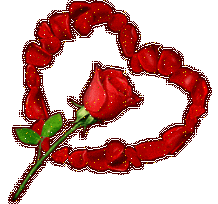 Rose love...!!