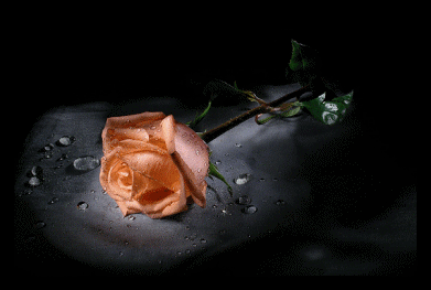 Encore un coeur bris&eacute; pr rien combien encore comme ca....?!