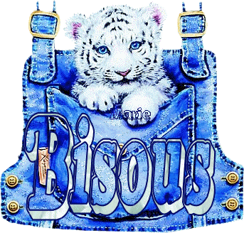 un BIG BOUSSA a tous ce ke jaime grave mon j&eacute;j&eacute; je taime boussa a ts votre folle...!!