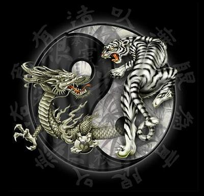 le YING et le YANG...!!